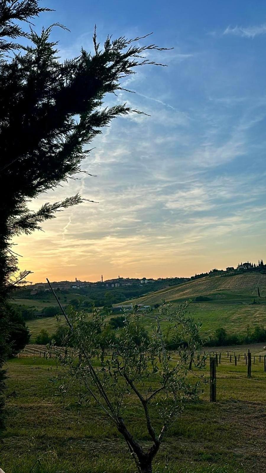 Agriturismo La Terrazza Sul Mangia Siena Exterior photo